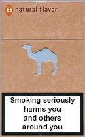 Camel Natural Flavor 8 Cigarettes pack